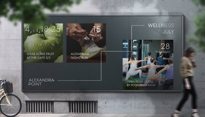 东乡县画册设计公司如何进行品牌审核