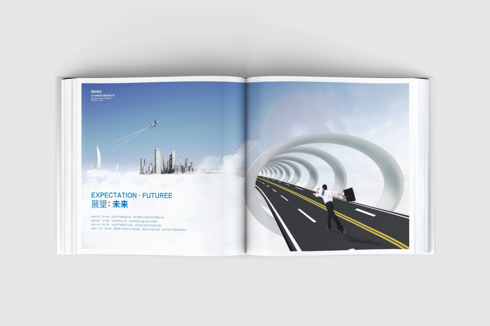 东乡县画册设计